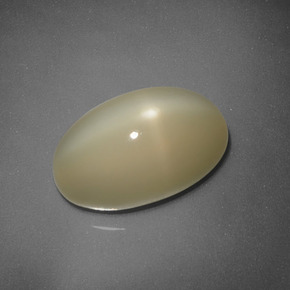 9,17 ctw natürlicher Hell Gold Sternmondstein, Oval Schliff, Lichtdurchlässig