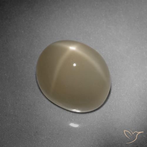 9.79ct Natürlicher Helles Tortilla-Braun Sternmondstein, Oval, Lichtdurchlässig, Photo A