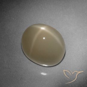 9,17 ctw natürlicher Helles Tortilla-Braun Sternmondstein, Oval, Lichtdurchlässig