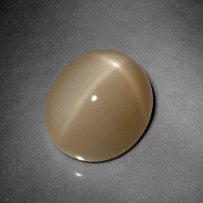 10,13 ctw natürlicher orangefarbener Stern-Mondstein, Oval Schliff, Lichtdurchlässig