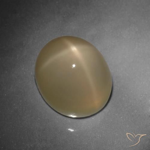 10.80ct Natürlicher Mitteldunkles Orange Sternmondstein, Oval, Lichtdurchlässig