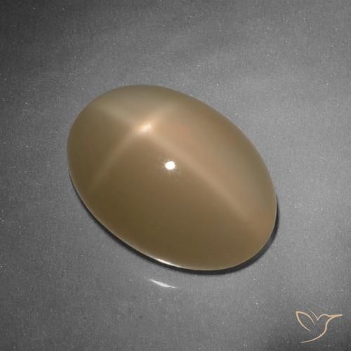 9.26ct Natürlicher Cantaloupe-Orange Sternmondstein, Oval, Lichtdurchlässig