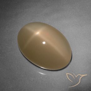 9,17 ctw natürlicher Cantaloupe-Orange Sternmondstein, Oval, Lichtdurchlässig