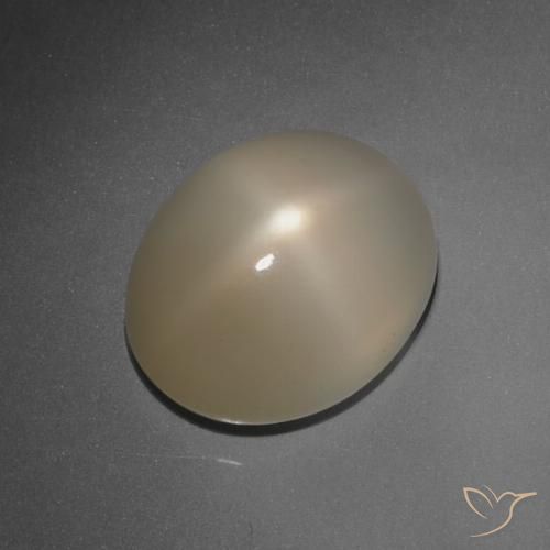 7.89ct Natürlicher Hellbraun Sternmondstein, Oval, Lichtdurchlässig, Photo A