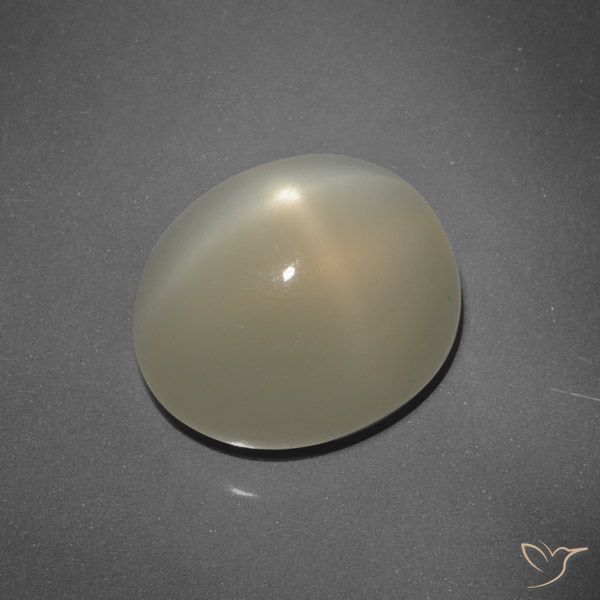 7.24ct Natürlicher Erdiges Braun Sternmondstein, Oval, Lichtdurchlässig