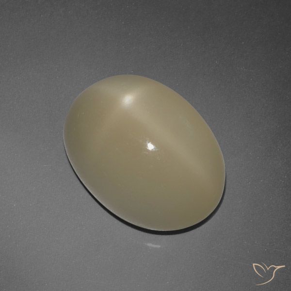 7.30ct Natürlicher hellbraun Sternmondstein, Oval, Lichtdurchlässig