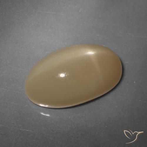 11.04ct Natürlicher Cantaloupe-Orange Sternmondstein, Oval, Lichtdurchlässig, Photo A