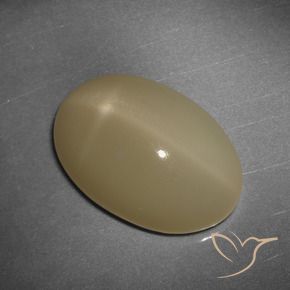 12,43 ctw natürlicher orangefarbener Stern-Mondstein, Oval Schliff, Lichtdurchlässig