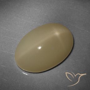 12,43 ctw natürlicher orangefarbener Stern-Mondstein, Oval Schliff, Lichtdurchlässig