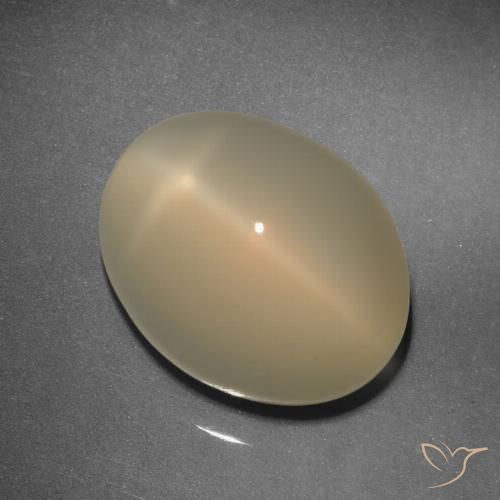 11.92ct Natürlicher Hellbraun Sternmondstein, Oval, Lichtdurchlässig