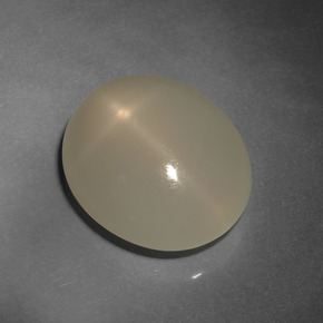 12,80 ctw natürlicher brauner Stern-Mondstein, Oval Schliff, Lichtdurchlässig
