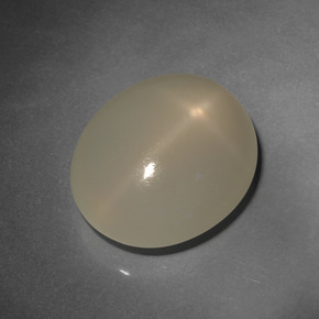 12,80 ctw natürlicher brauner Stern-Mondstein, Oval Schliff, Lichtdurchlässig