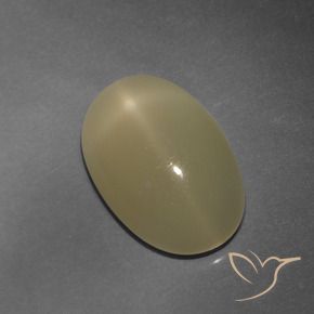 9,17 ctw natürlicher Helles Tortilla-Braun Sternmondstein, Oval, Lichtdurchlässig