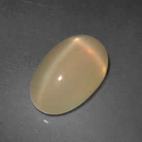4,95 ctw natürlicher goldener Stern-Mondstein, Oval Schliff, Lichtdurchlässig