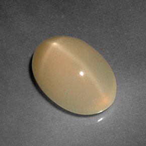 4,92 ctw natürlicher goldener Stern-Mondstein, Oval Schliff, Lichtdurchlässig