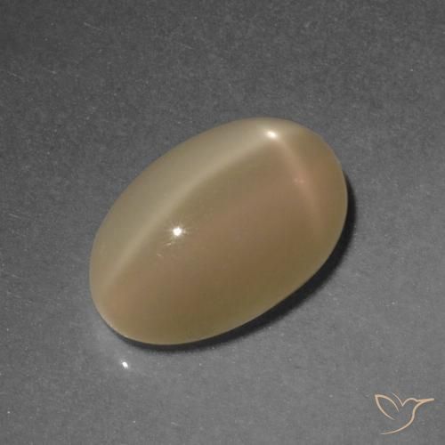 4.67ct Natürlicher Mittelorange Sternmondstein, Oval, Lichtdurchlässig, Photo A
