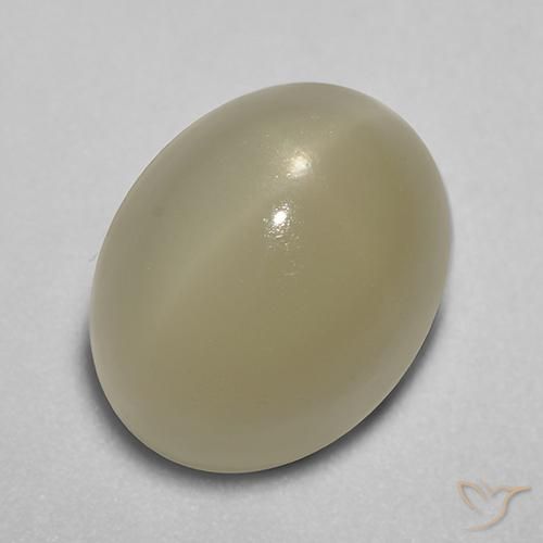 7.26ct Natürlicher Helles Kaffeebraun Sternmondstein, Oval, Lichtdurchlässig