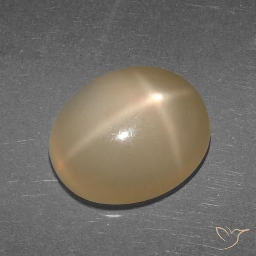 5.27ct Natürlicher Mitteldunkles Orange Sternmondstein, Oval, Lichtdurchlässig