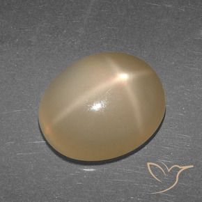 9,17 ctw natürlicher Mitteldunkles Orange Sternmondstein, Oval, Lichtdurchlässig