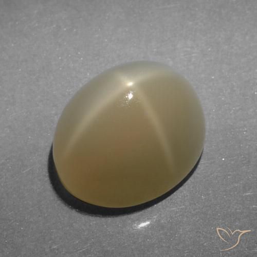 5.23ct Natürlicher Sehr helles Braun Sternmondstein, Oval, Lichtdurchlässig