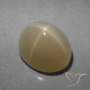 9,17 ctw natürlicher Sehr helles Braun Sternmondstein, Oval, Lichtdurchlässig