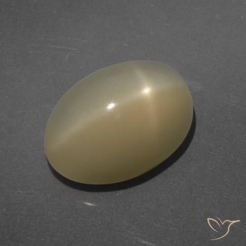 7.14ct Natürlicher hellbraun Sternmondstein, Oval, Lichtdurchlässig, Photo A