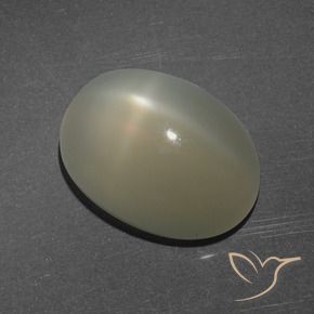 9,17 ctw natürlicher Mittel-Hellbraun Sternmondstein, Oval, Lichtdurchlässig