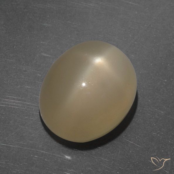 7.35ct Natürlicher Mitteldunkles Orange Sternmondstein, Oval, Lichtdurchlässig