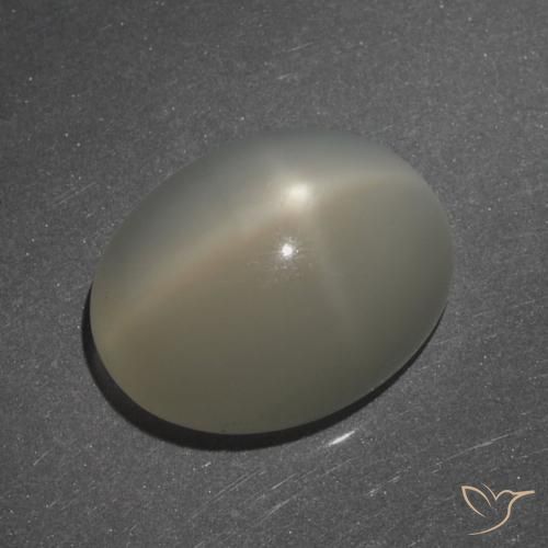 7.62ct Natürlicher Helles Kaffeebraun Sternmondstein, Oval, Lichtdurchlässig, Photo A