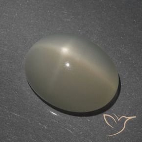 9,17 ctw natürlicher Helles Kaffeebraun Sternmondstein, Oval, Lichtdurchlässig