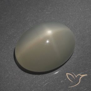 9,17 ctw natürlicher Helles Kaffeebraun Sternmondstein, Oval, Lichtdurchlässig