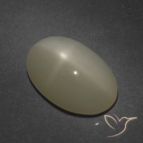 9,17 ctw natürlicher Helles Kaffeebraun Sternmondstein, Oval, Lichtdurchlässig
