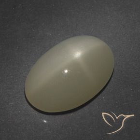 9,17 ctw natürlicher Helles Kaffeebraun Sternmondstein, Oval, Lichtdurchlässig