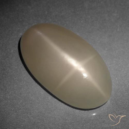 9.34ct Natürlicher Mitteldunkles Orange Sternmondstein, Oval, Lichtdurchlässig