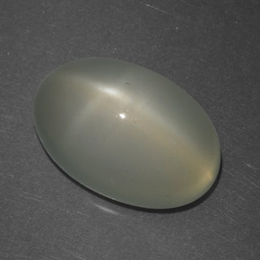 6,74 ctw natürlicher weißer Stern-Mondstein, Oval Schliff, Lichtdurchlässig