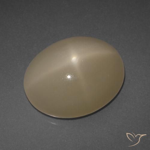 6.95ct Natürlicher Mitteldunkles Orange Sternmondstein, Oval, Lichtdurchlässig