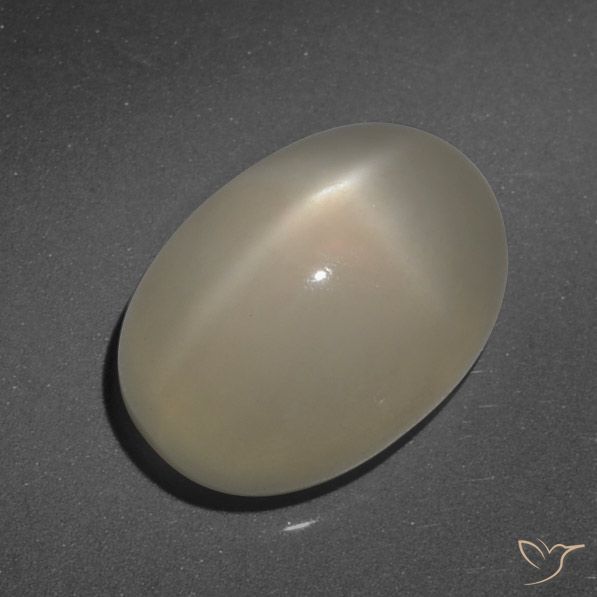 7.90ct Natürlicher Helles Kaffeebraun Sternmondstein, Oval, Lichtdurchlässig, Photo A