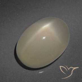 9,17 ctw natürlicher Helles Kaffeebraun Sternmondstein, Oval, Lichtdurchlässig