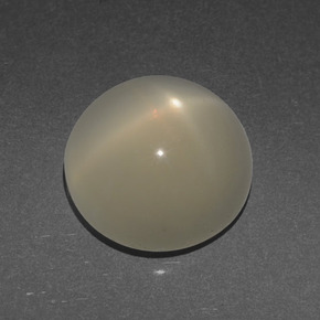 3,56 ctw natürlicher cream Stern-Mondstein, Rundschliff, Lichtdurchlässig