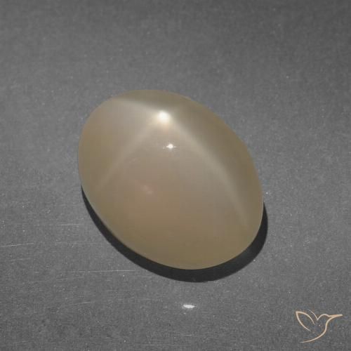 8.47ct Natürlicher Warmes Hellbraun Sternmondstein, Oval, Lichtdurchlässig