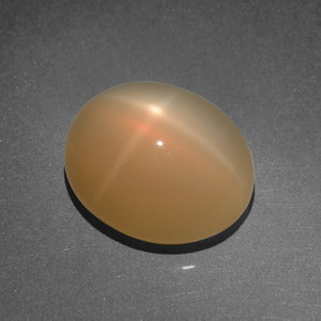 8,03 ctw natürlicher orangefarbener Stern-Mondstein, Oval Schliff, Lichtdurchlässig