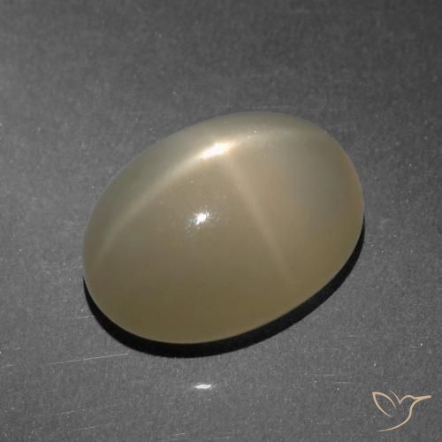 8.25ct Natürlicher hellbraun Sternmondstein, Oval, Lichtdurchlässig