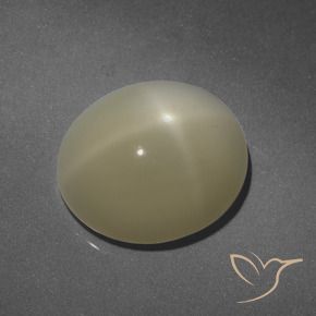 9,17 ctw natürlicher Helles warmes Braun Sternmondstein, Oval, Lichtdurchlässig