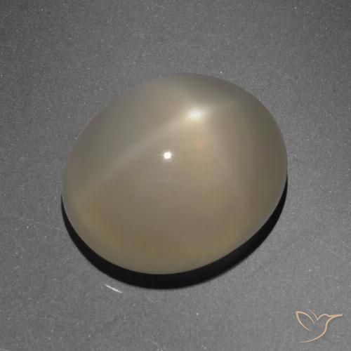 6.13ct Natürlicher hellbraun Sternmondstein, Oval, Lichtdurchlässig