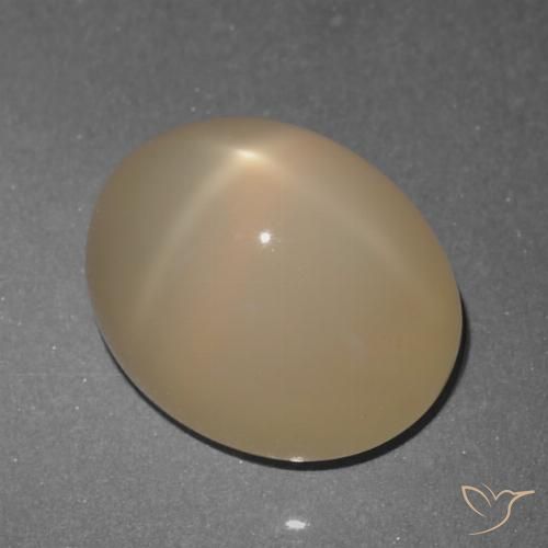 5.74ct Natürlicher Hellbraun Sternmondstein, Oval, Lichtdurchlässig, Photo A