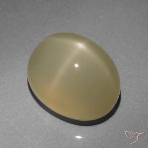 6.64ct Natürlicher Sehr helles Braun Sternmondstein, Oval, Lichtdurchlässig, Photo A