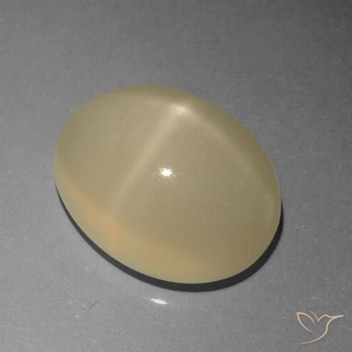 6.77ct Natürlicher Helles Kaffeebraun Sternmondstein, Oval, Lichtdurchlässig
