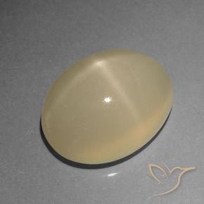 9,17 ctw natürlicher Helles Kaffeebraun Sternmondstein, Oval, Lichtdurchlässig