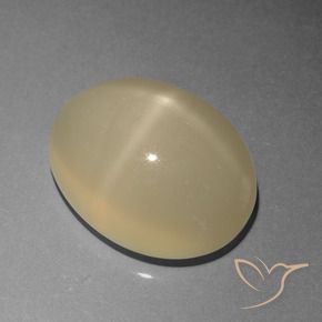 9,17 ctw natürlicher Helles Kaffeebraun Sternmondstein, Oval, Lichtdurchlässig