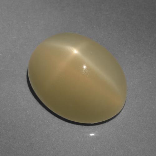 6,64 ctw natürlicher brauner Stern-Mondstein, Oval Schliff, Lichtdurchlässig